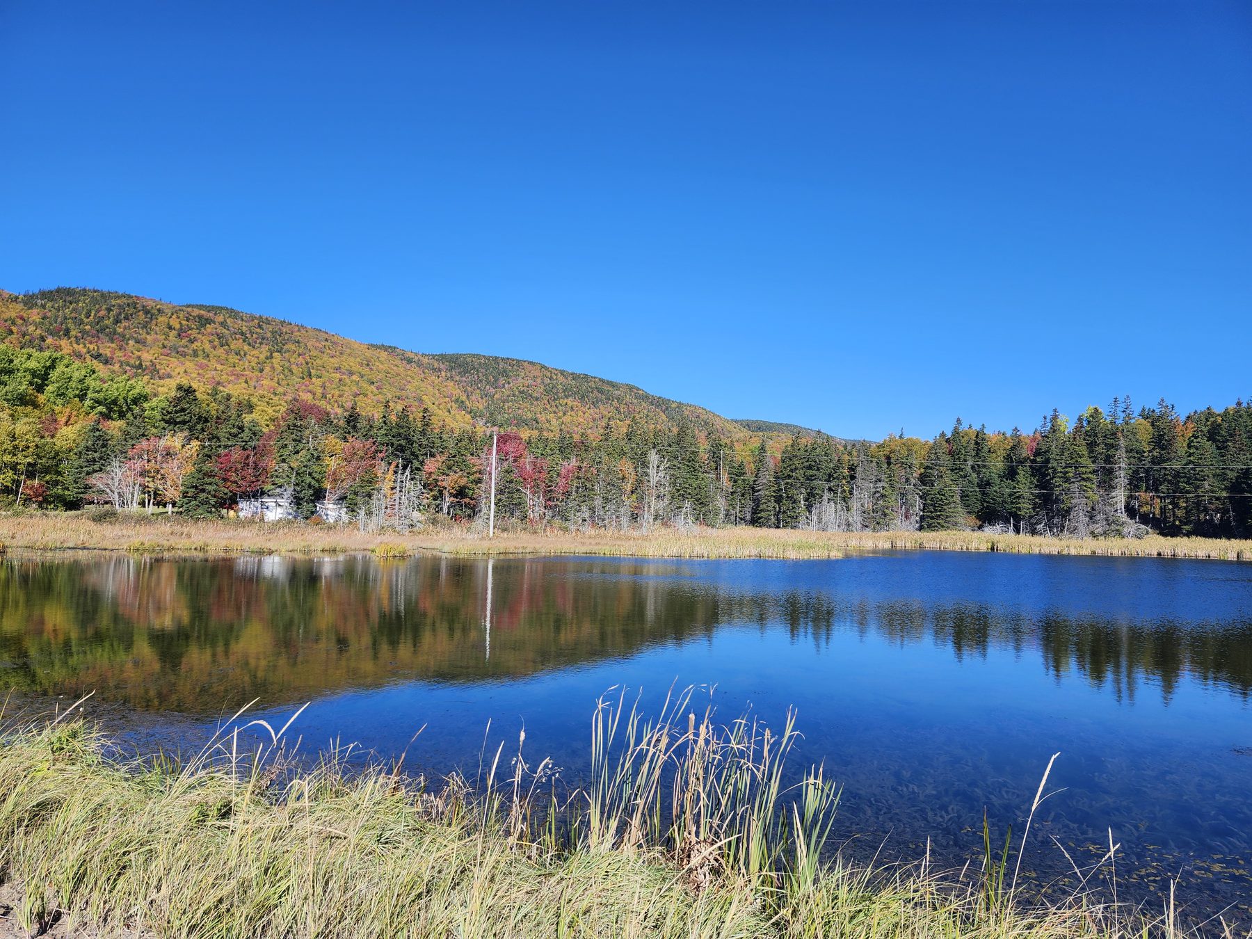 Autumn lake