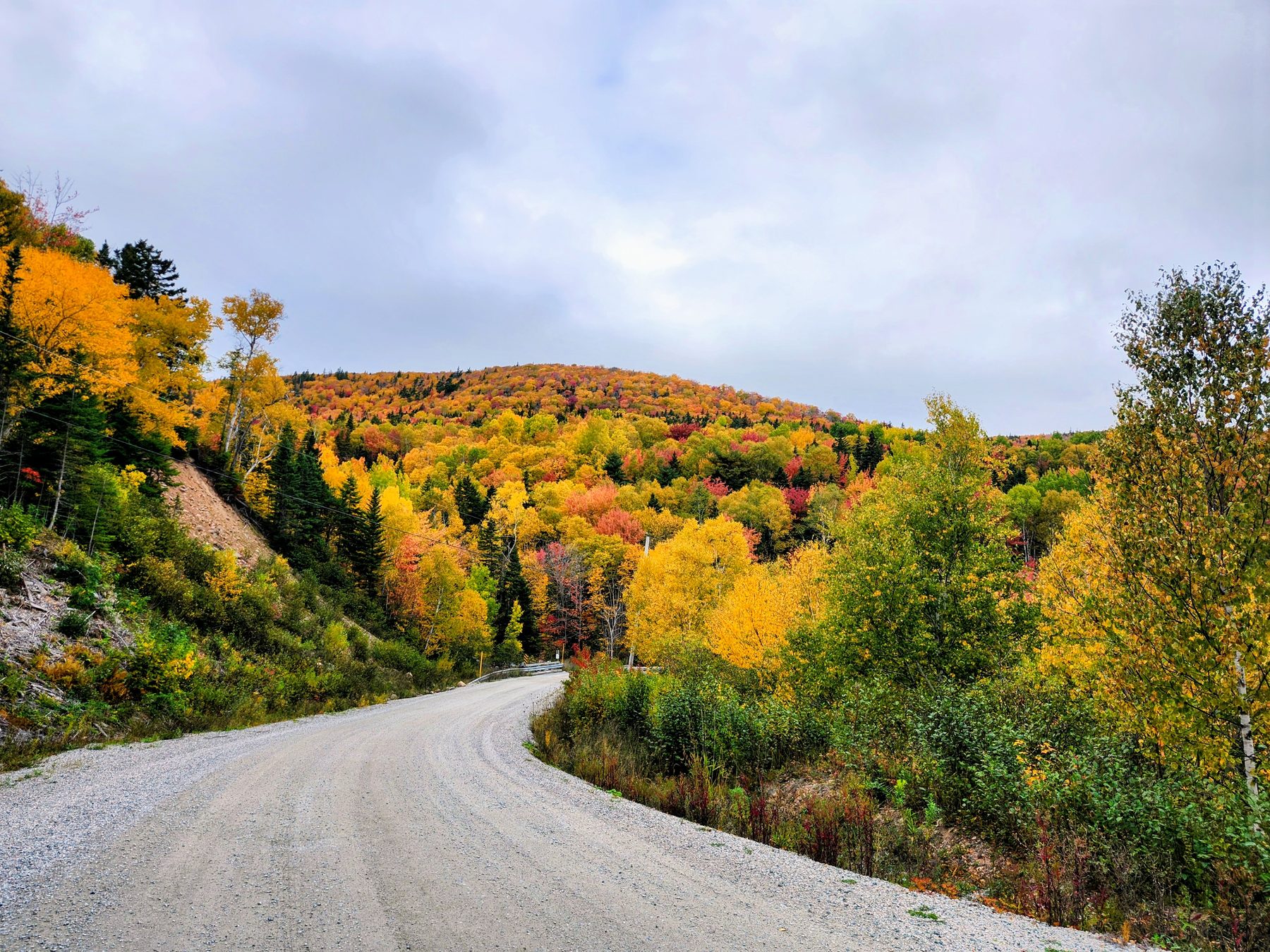 Autumn road